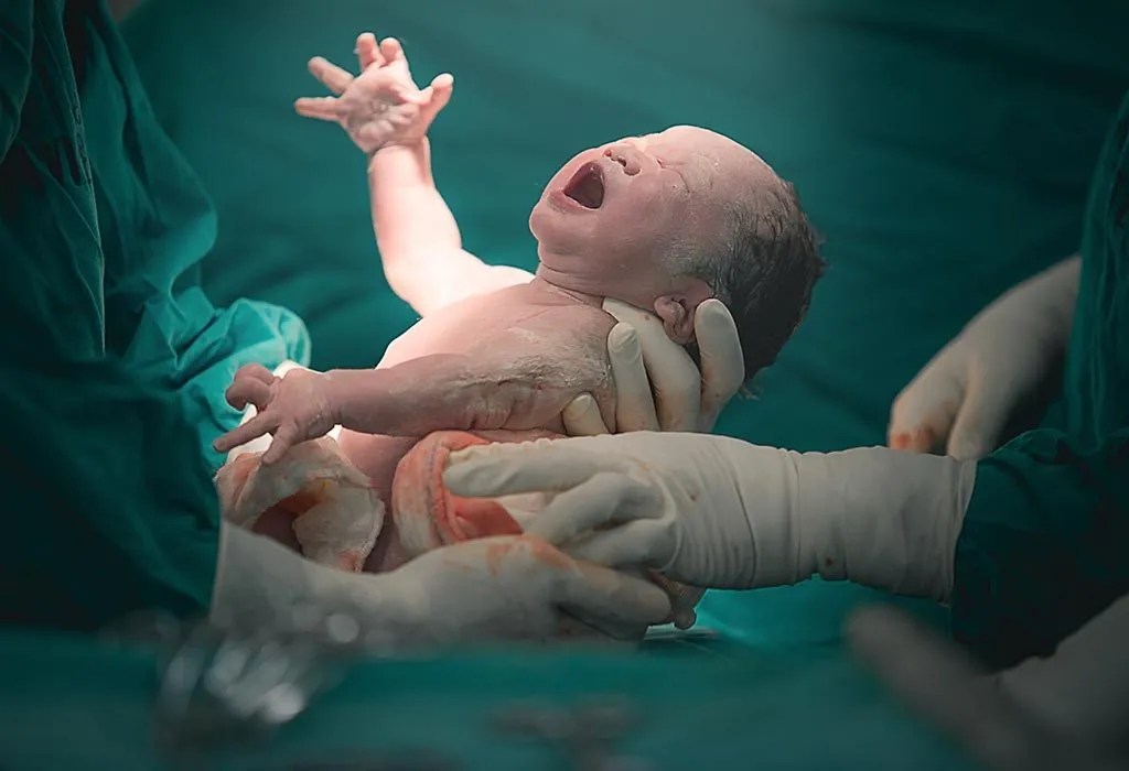 6 Different Types of Delivery Methods You Must Know