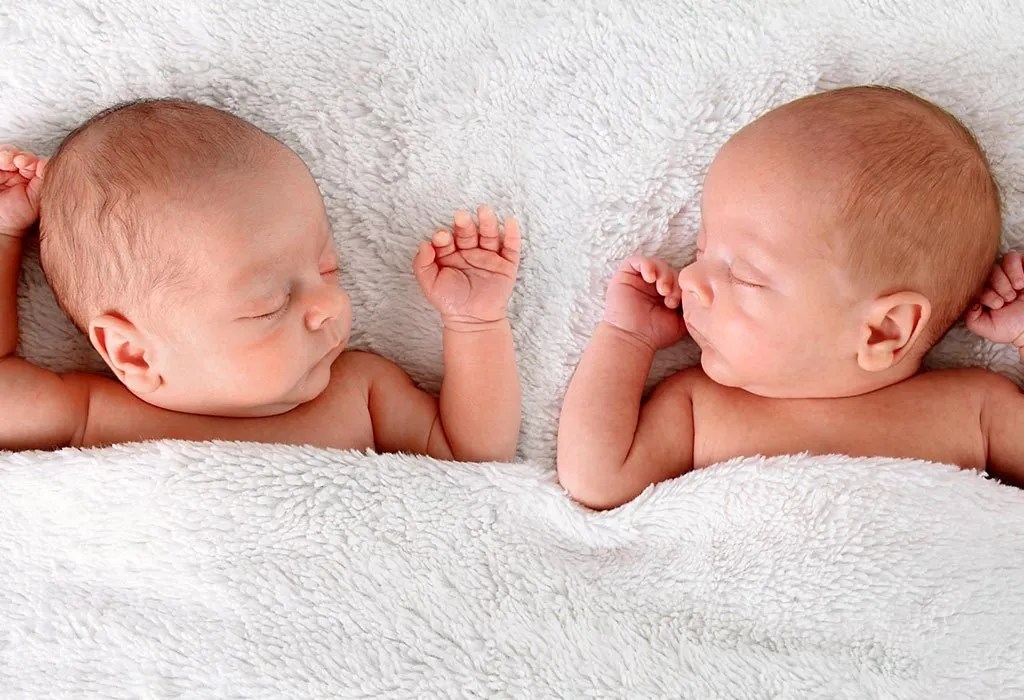 Mirror Twins What Are They & Their Characteristics