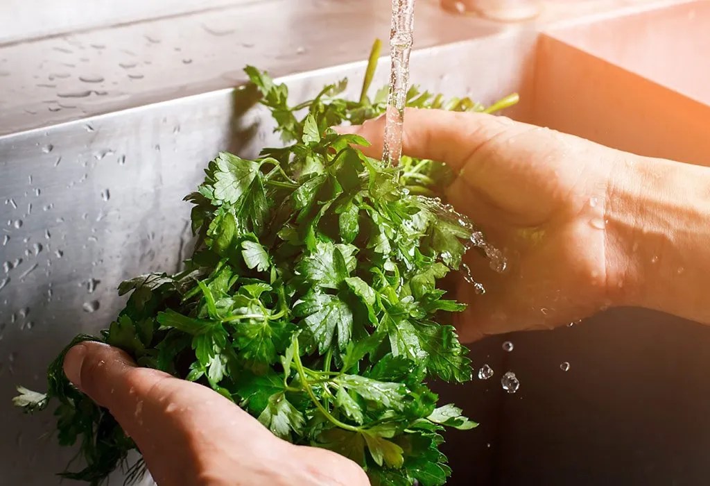 Eating Parsley during Pregnancy Health Benefits & Side Effects