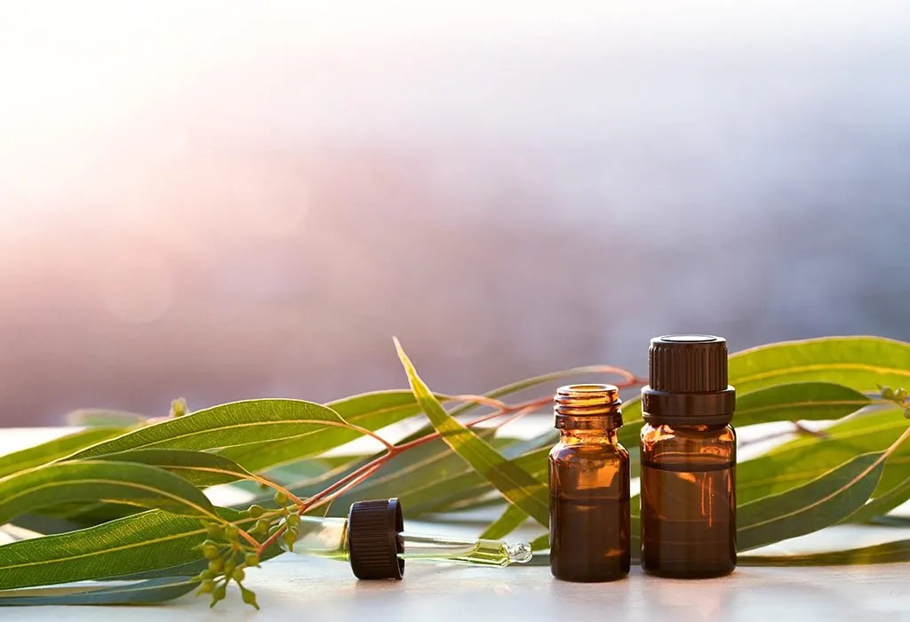 Using Eucalyptus Oil during Pregnancy Benefits & Precautionary Tips