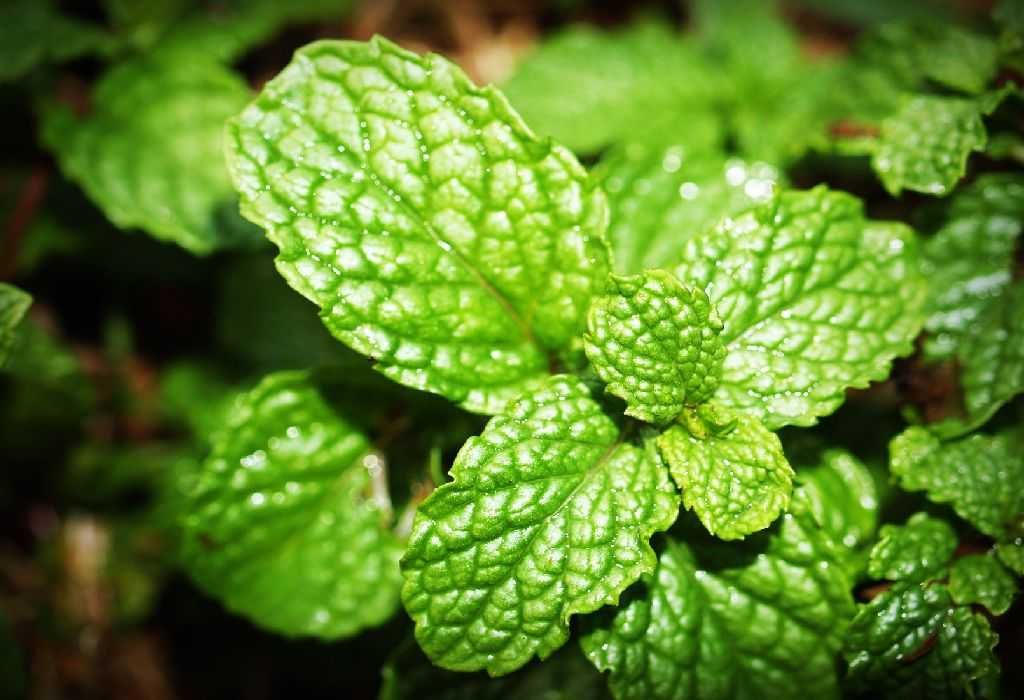 Headaches in Women Causes, Types & Home Remedies