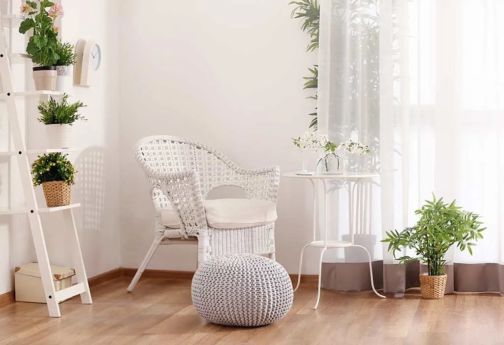 Best Feng Shui Plants to Keep in Your Home and Office