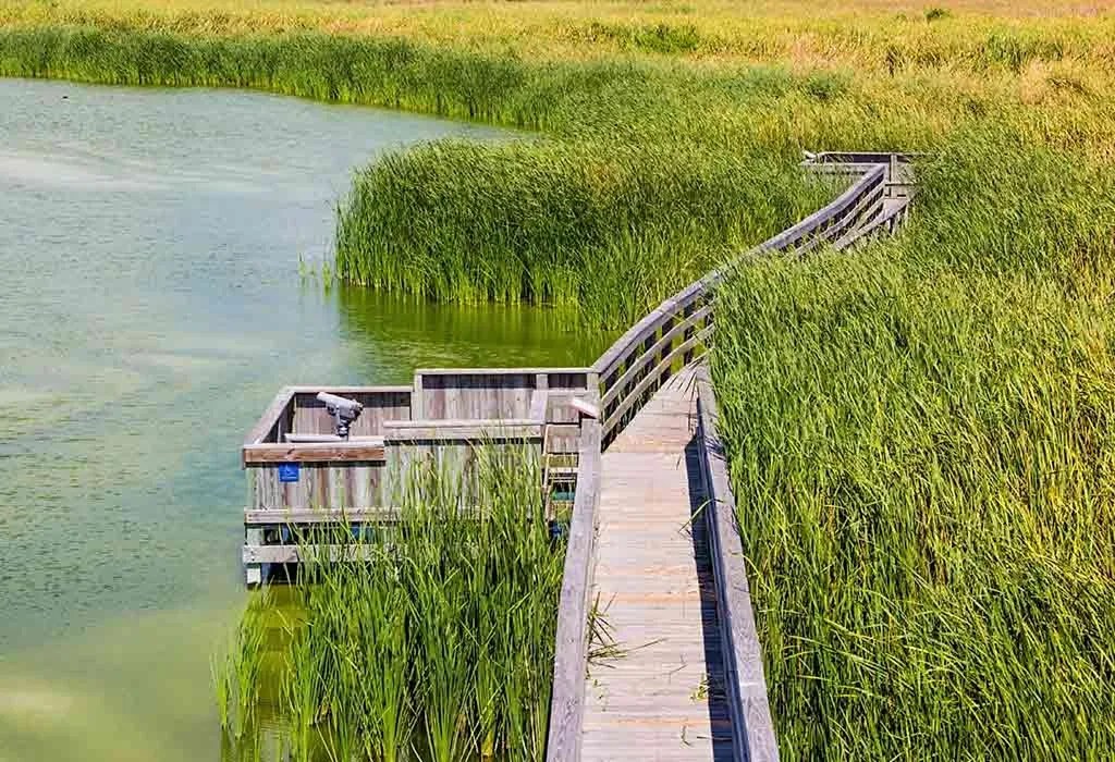 20 Best Toddler Friendly Vacations to Travel