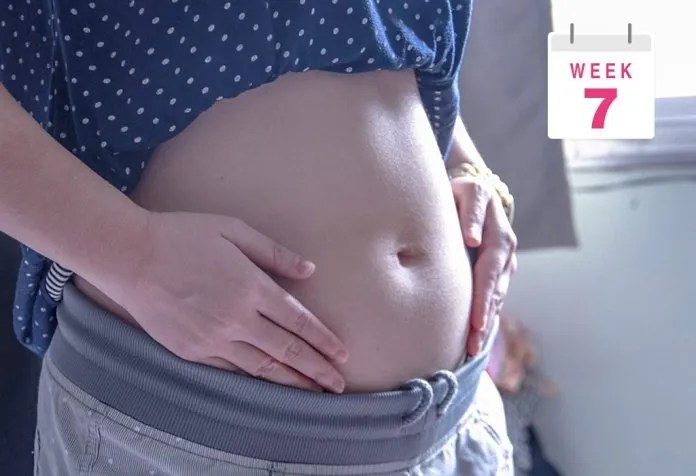 Pregnant Belly Pictures - Week By Week