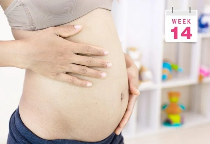 Pregnant Belly Pictures - Week By Week