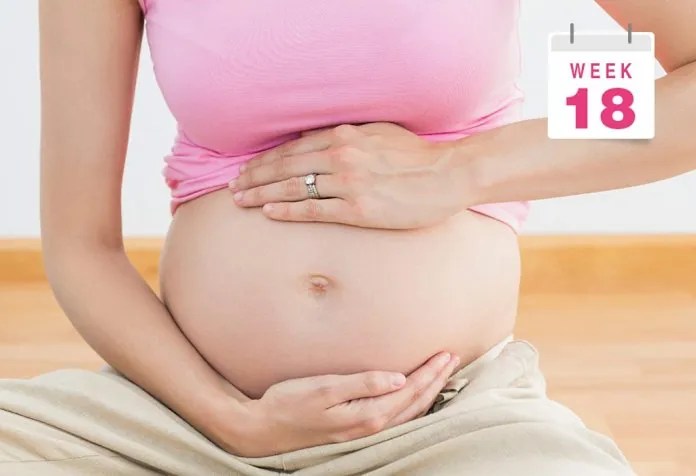 Pregnant Belly Pictures - Week By Week