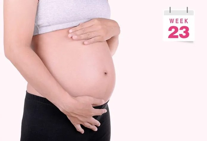 Pregnant Belly Pictures - Week By Week