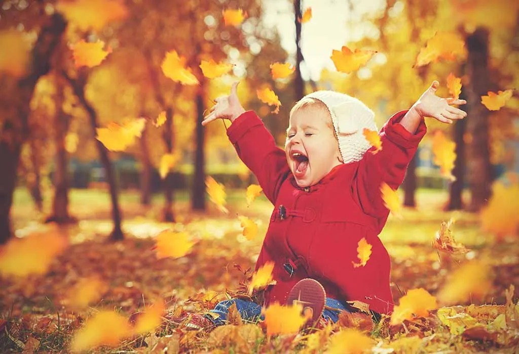 Cute Fall Captions for Instagram to Post Your Photos and Videos