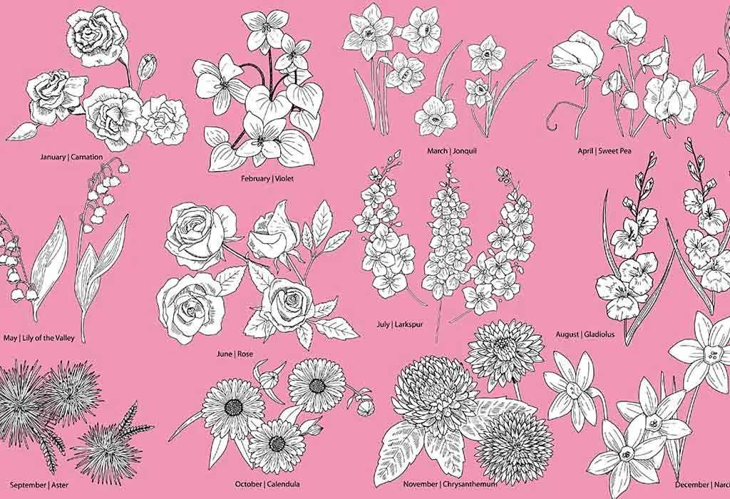 August Flower Of The Month Birth Flowers