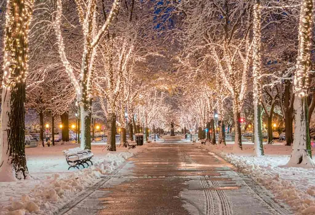 Places to Visit to See Spectacular Christmas Light Displays in USA