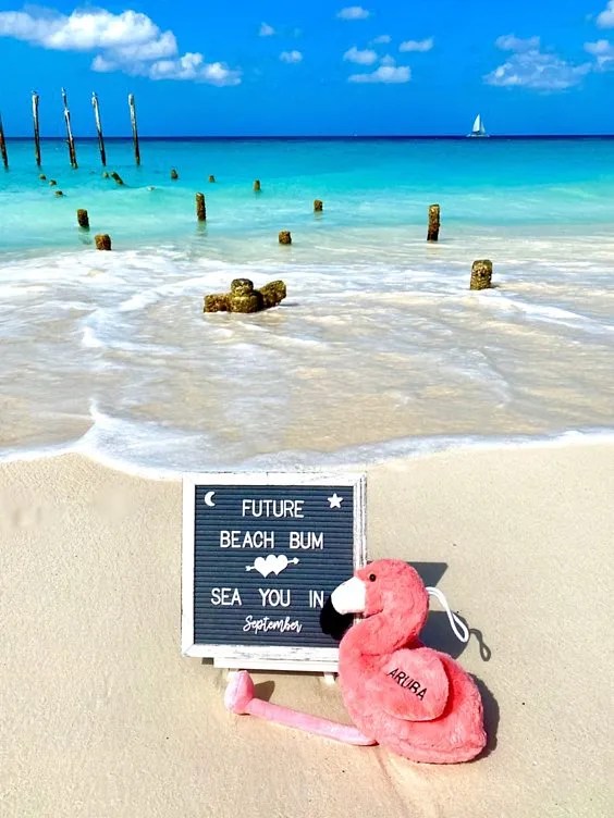 20 Best Beach Themed Pregnancy Announcement Ideas