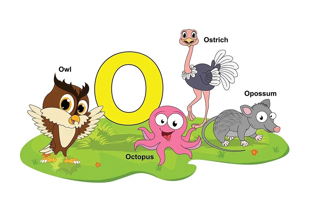 Animal Names that Start With O (Pictures & Facts)