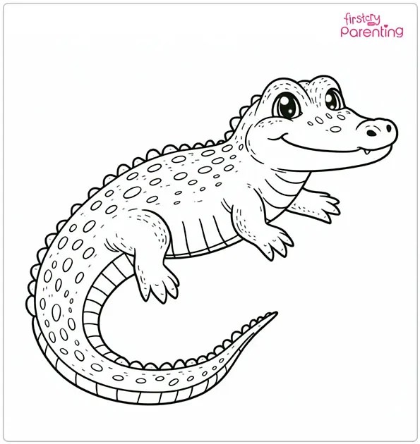 25 Alligator Coloring Pages: Free Printable Sheets, Pictures and Images