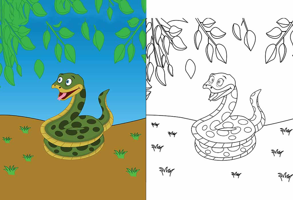25 Snake Coloring Pages Free Printable, Sheets and Images for Kids