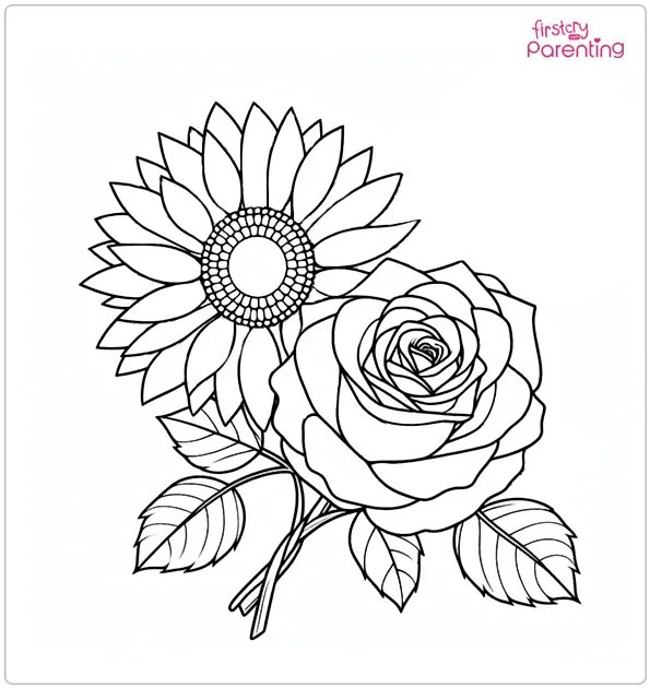 25 Rose Coloring Pages Free Printable, Sheets and Images for Kids