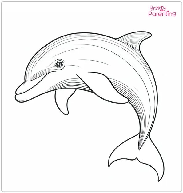 25 Dolphin Coloring Pages Free Printable, Sheets and Images for Kids