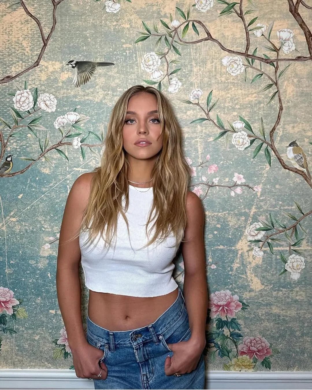 Sydney Sweeney | Celeb Hottie Gallery