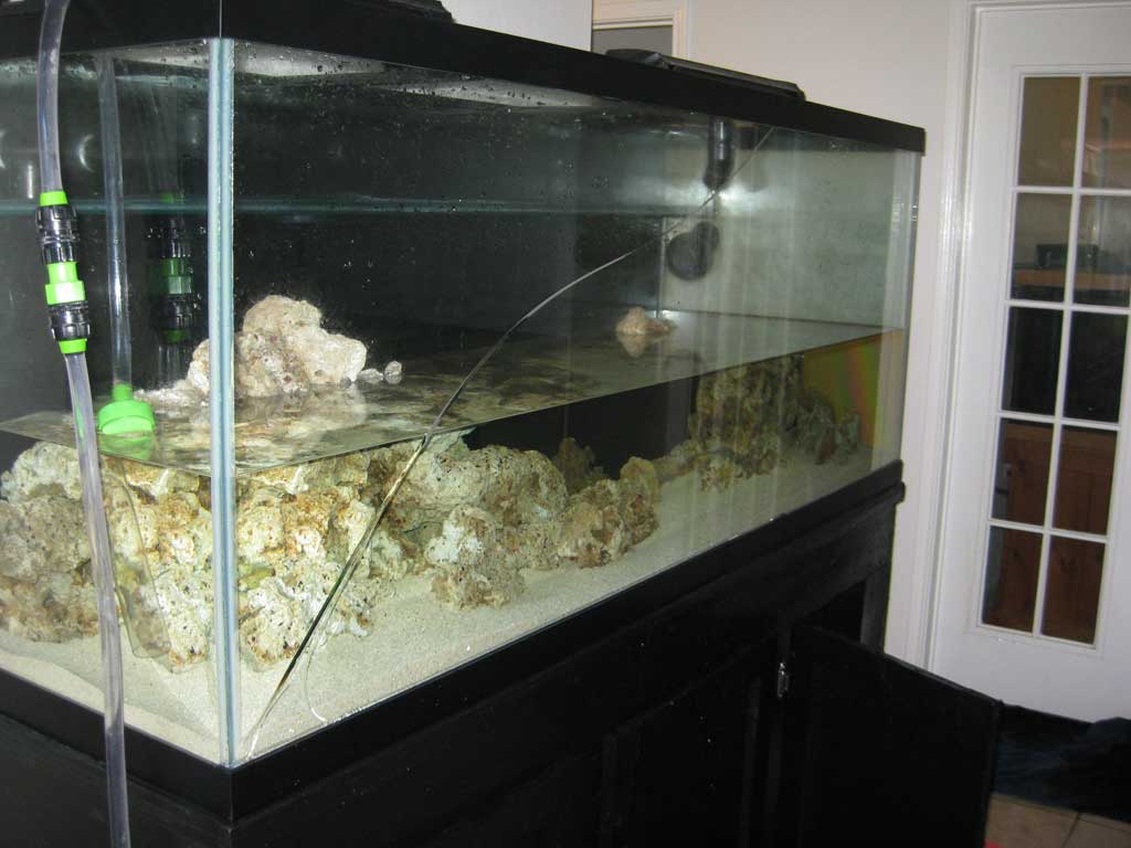 How Long Before a Fish Tank Leaks? CelestialPets