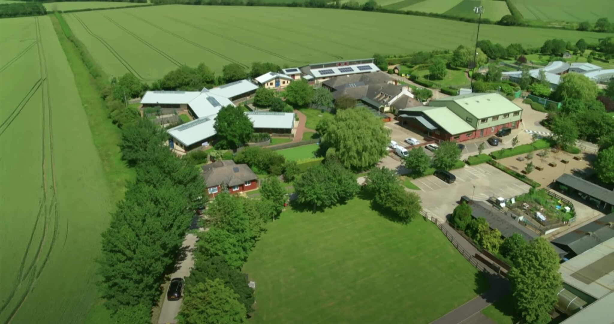 Exploring The Debate Is The Cherokee County Animal Shelter A Kill