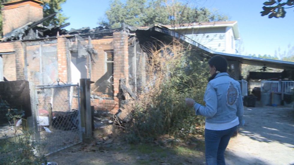 Exploring The Debate Is The Cherokee County Animal Shelter A Kill