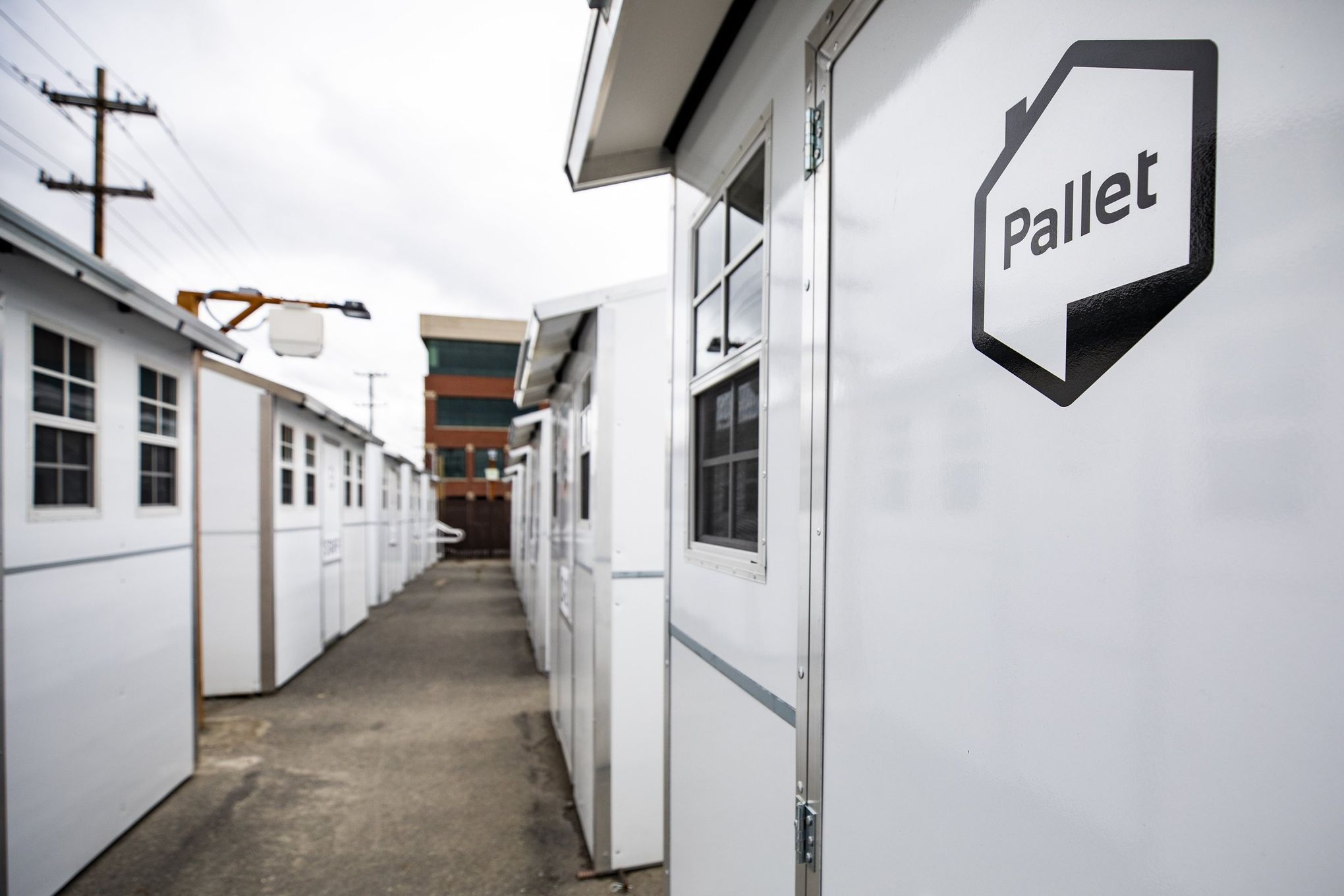 The Kitsap Animal Shelter A Haven For Homeless Animals Since 1971