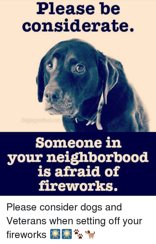 Admiral Car Insurance And Pet Insurance What You Need To Know