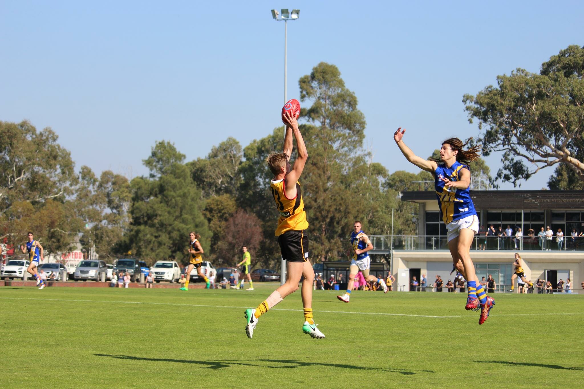 Riley Bowman Draft Profile - Aussie Rules Rookie Me Central (formerly
