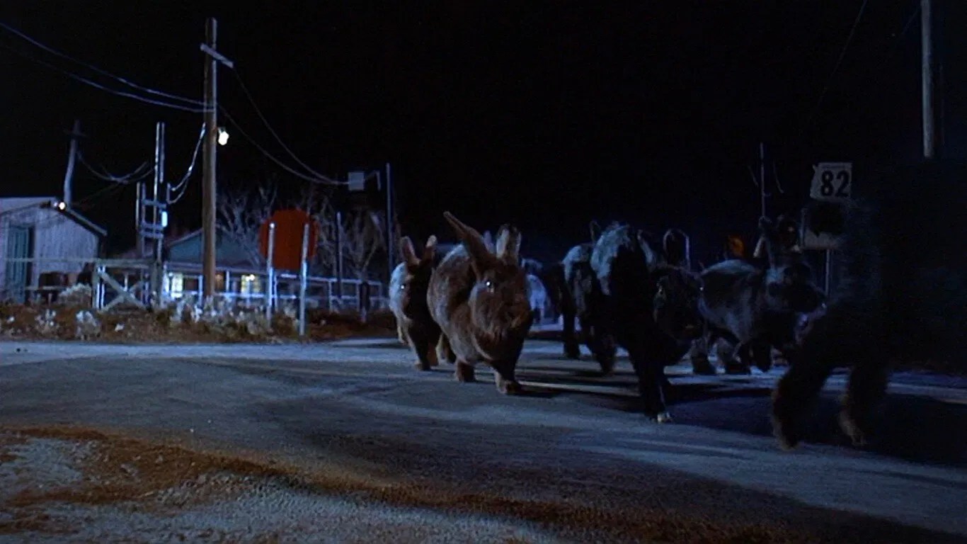Top 10 Most Frightening Bunnies In Film History CGMagazine