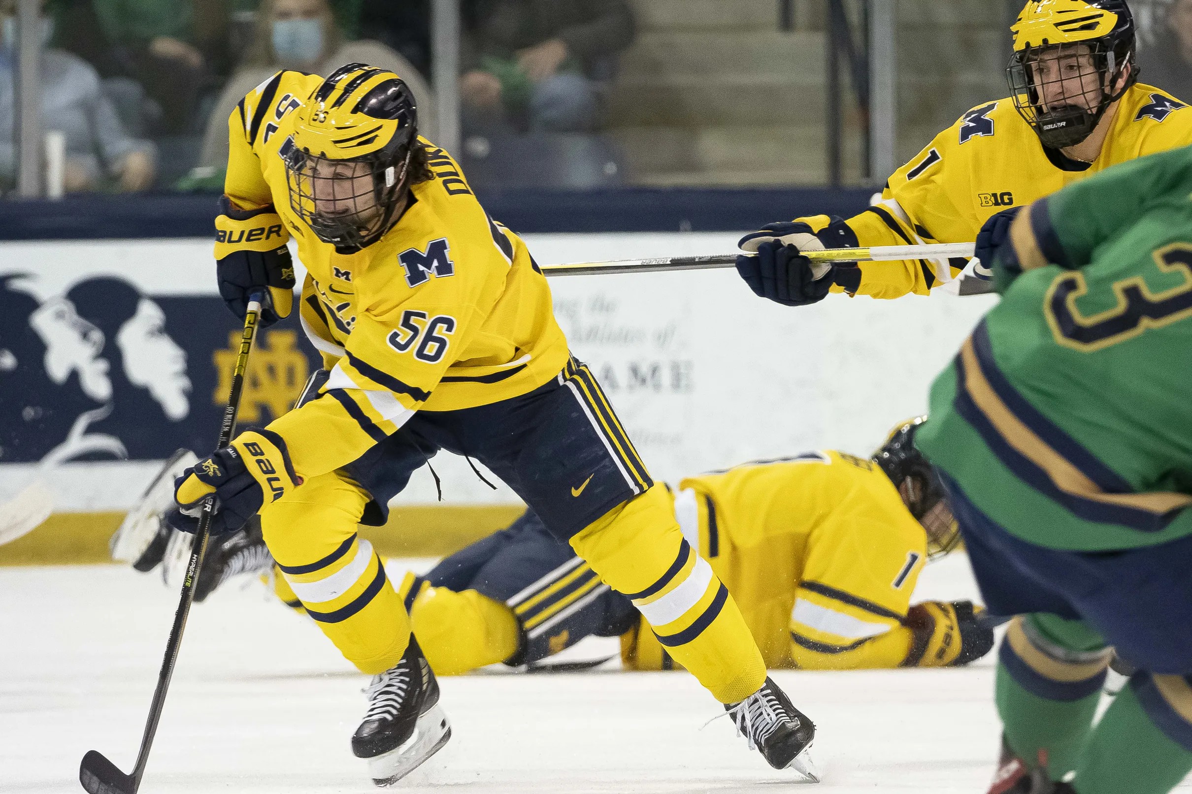 Checking in on the Under20 prospects for the Tampa Bay Lightning