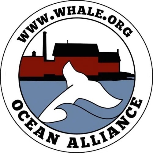 OCEAN ALLIANCE Promo Code — 64 Off in Sep 2024 (2024)