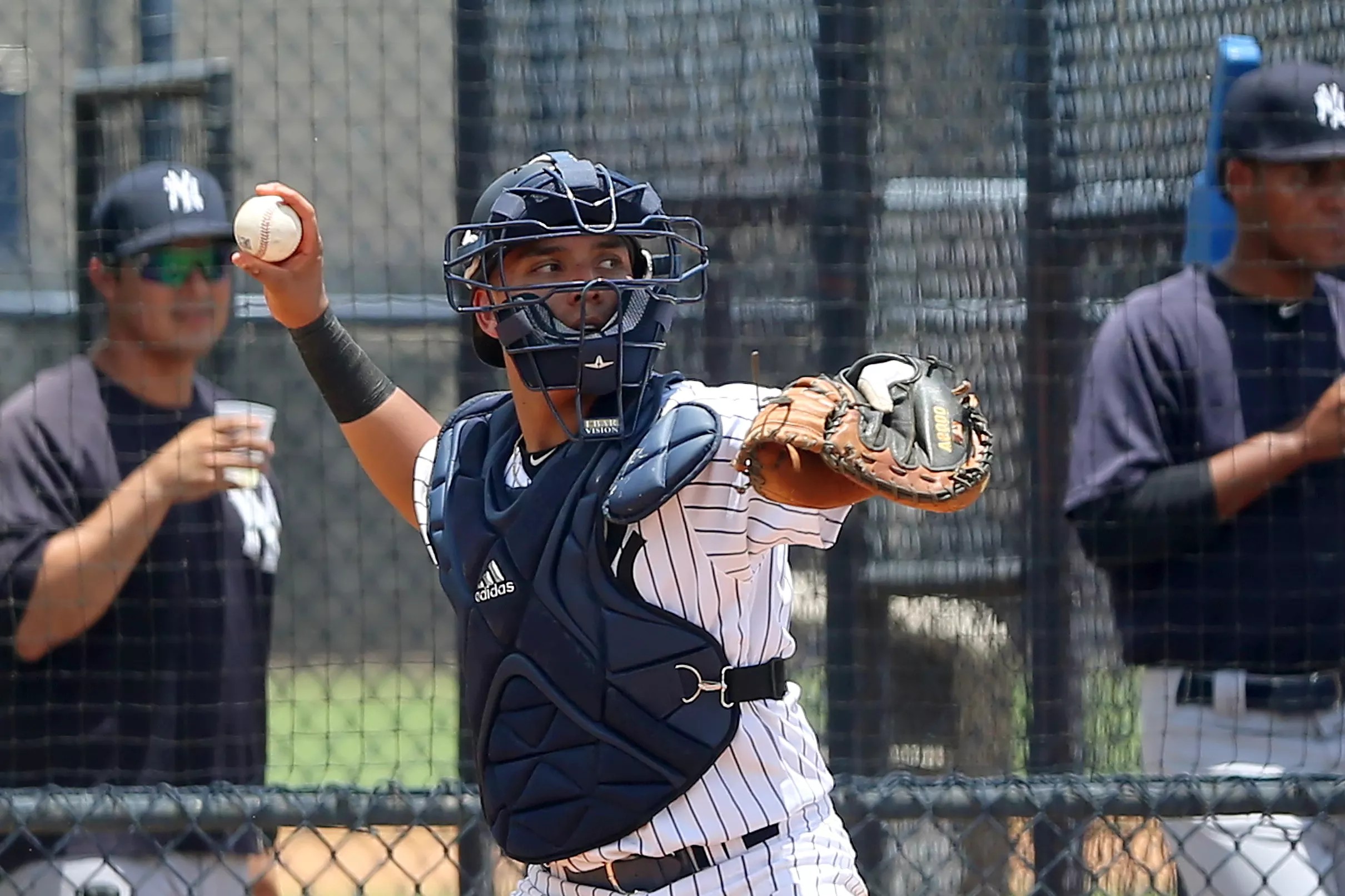 The Yankees have a talented trio of catchers coming through the minors