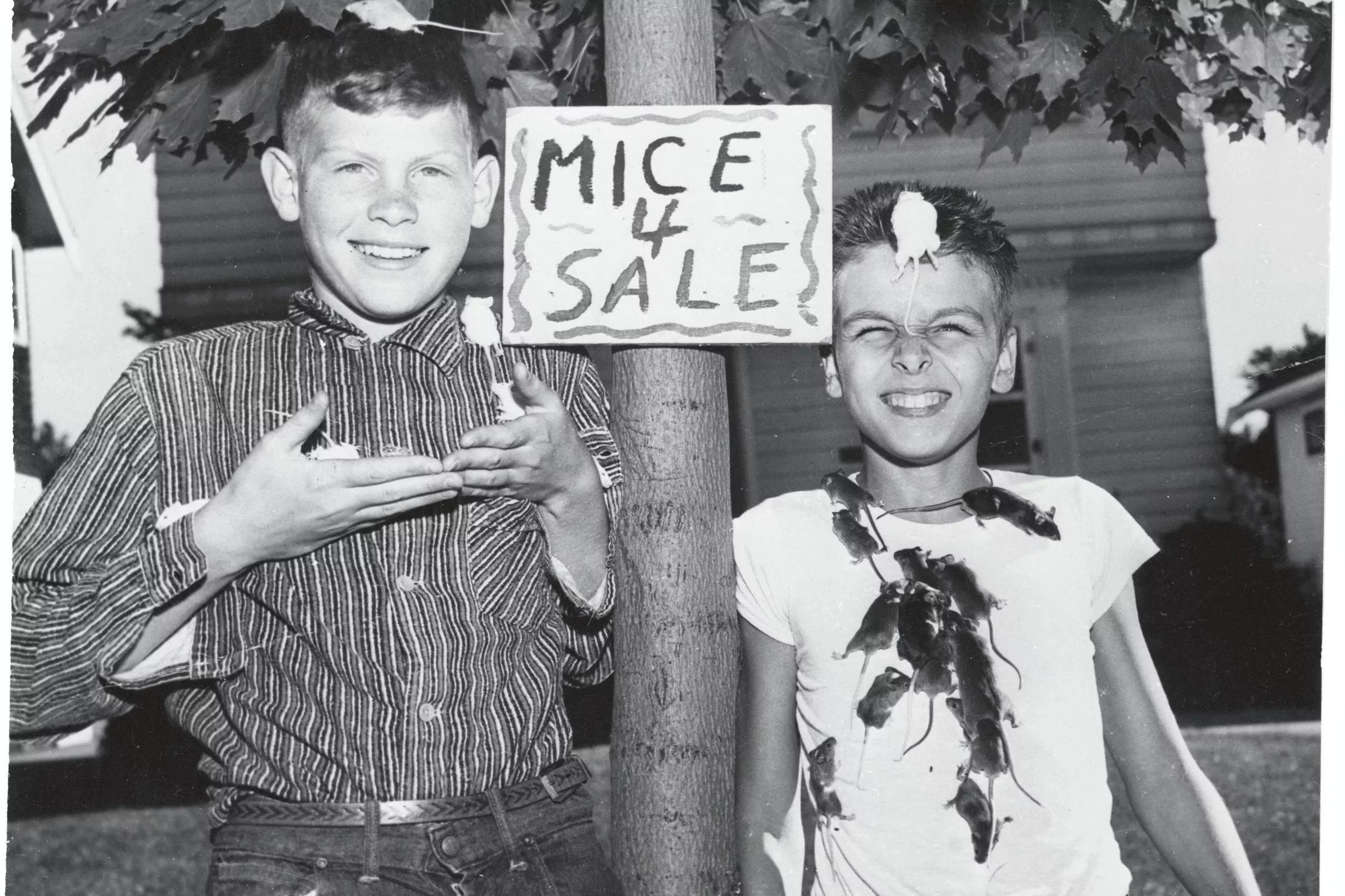 Should the Dbacks buy, sell or stand pat?