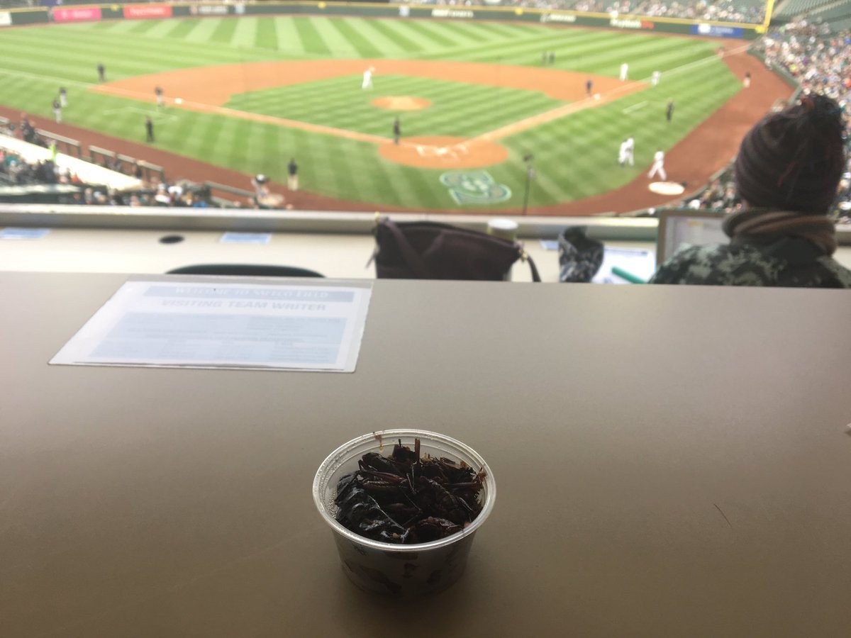 Tastetasting craziest ballpark food item — Mariners' toasted