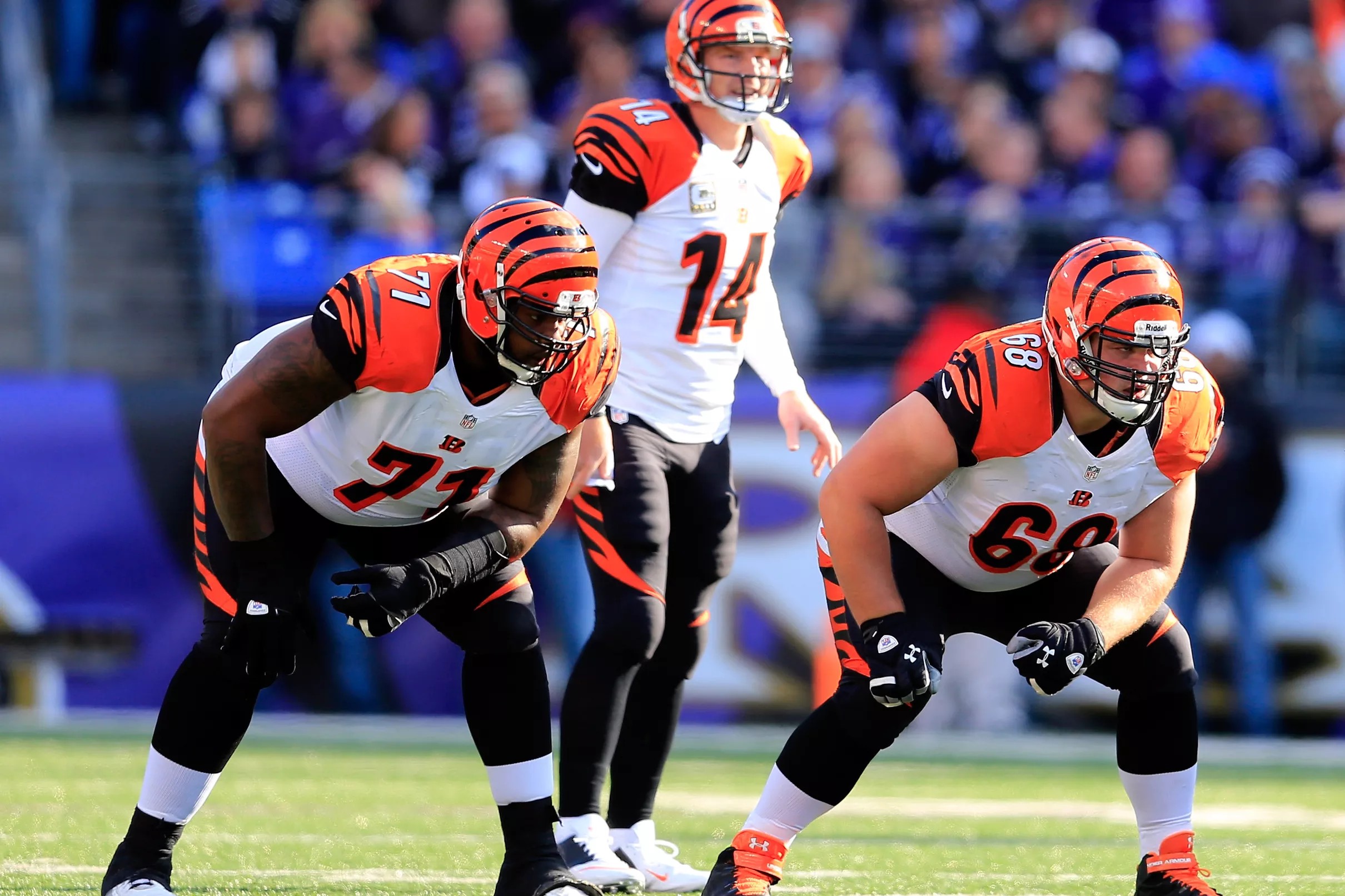 6 reasons why the Bengals are 36