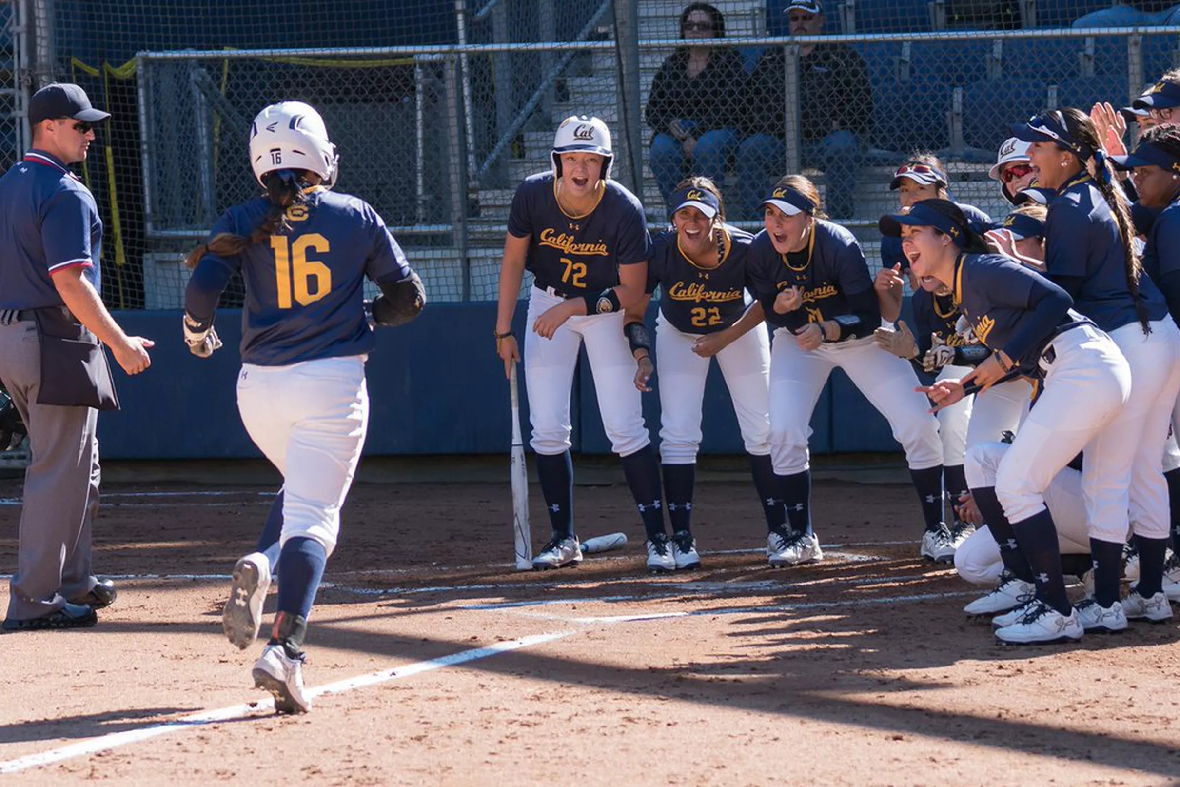 Cal Softball and Lacrosse previews
