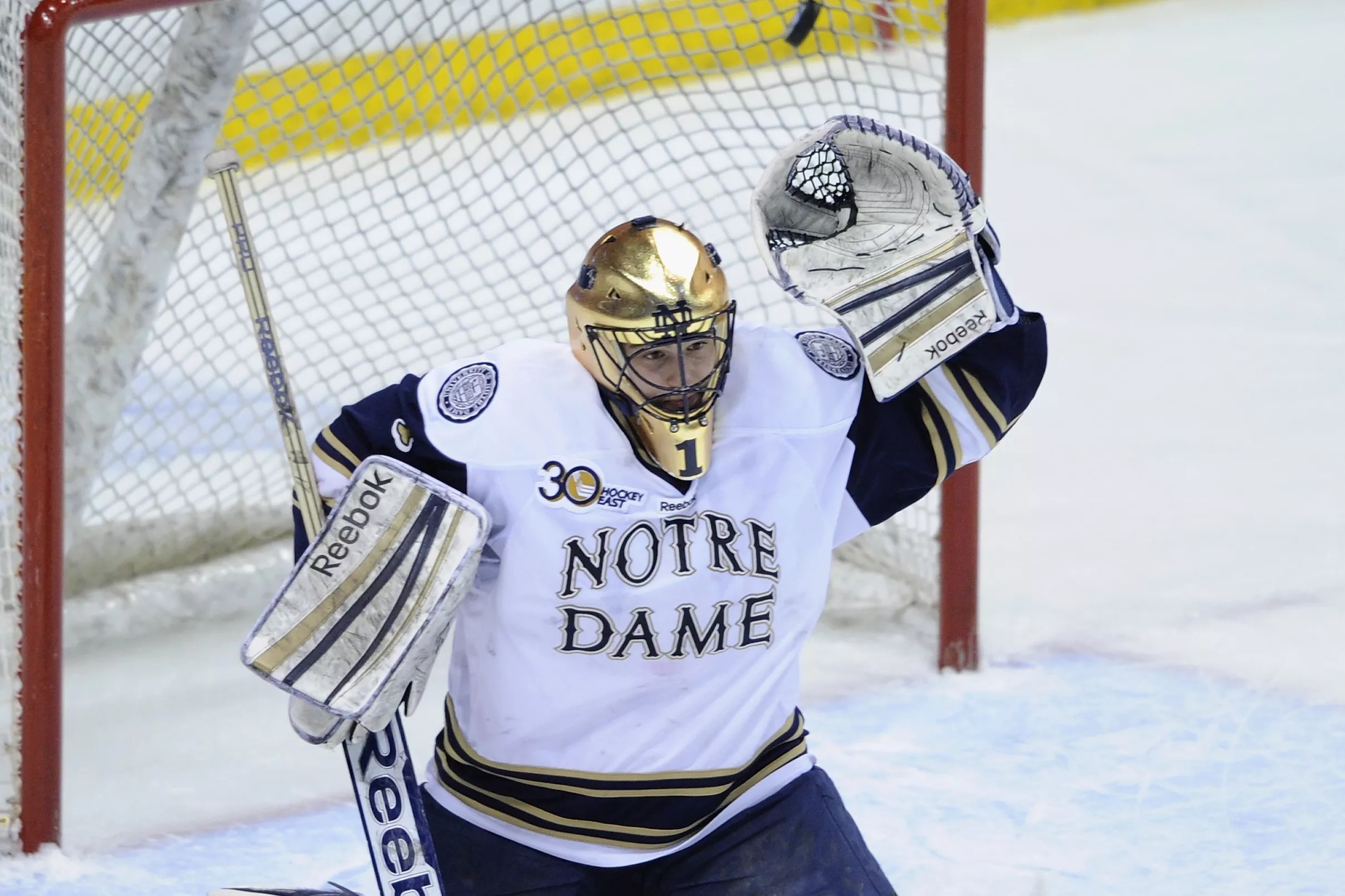 Notre Dame hockey in the Big Ten is officially a thing.