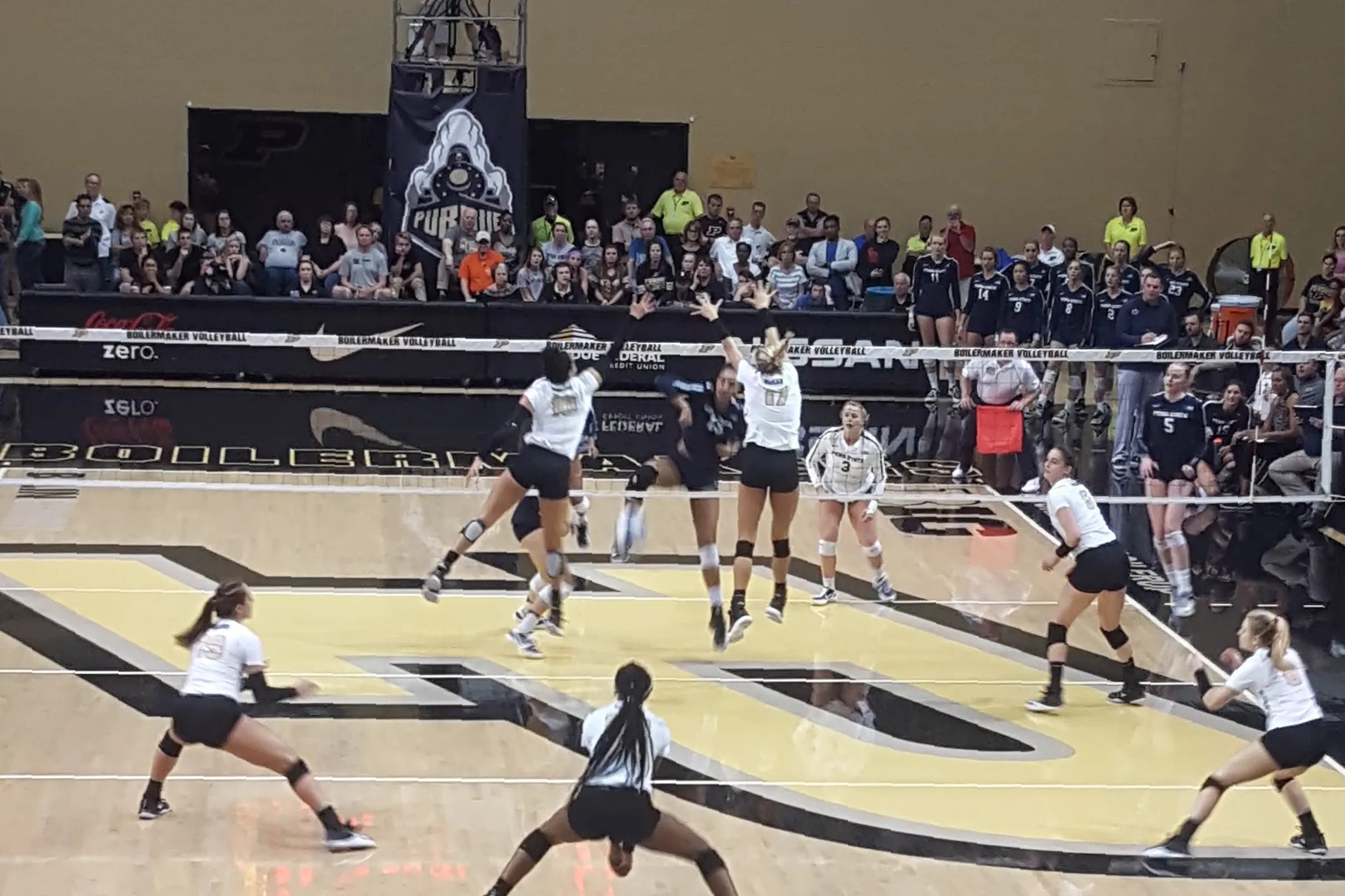 Purdue Volleyball NCAA Tournament Preview