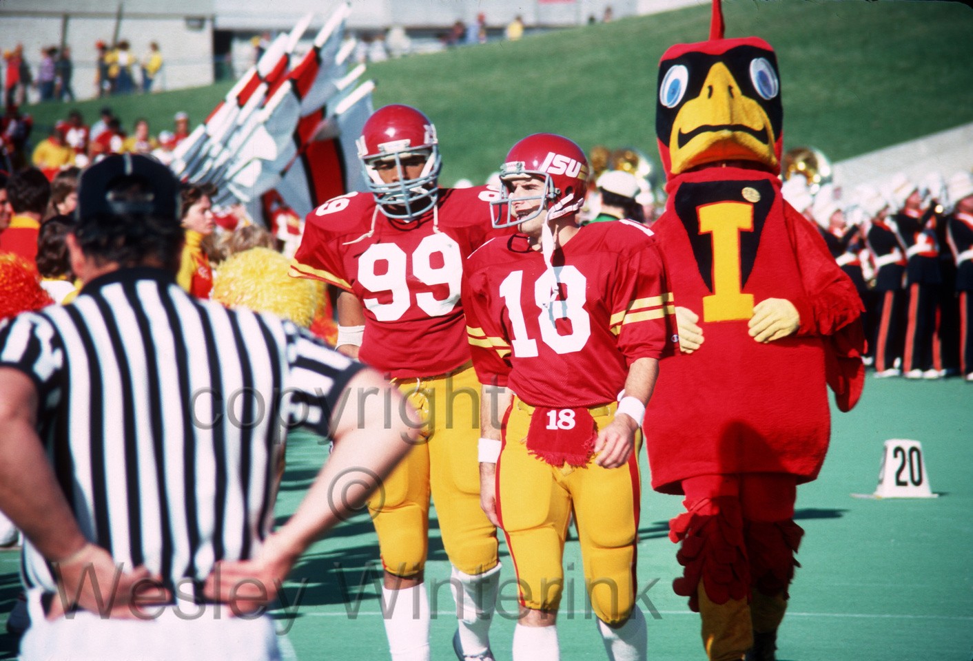 Iowa State Players in Professional Football Part 4A (1980s)