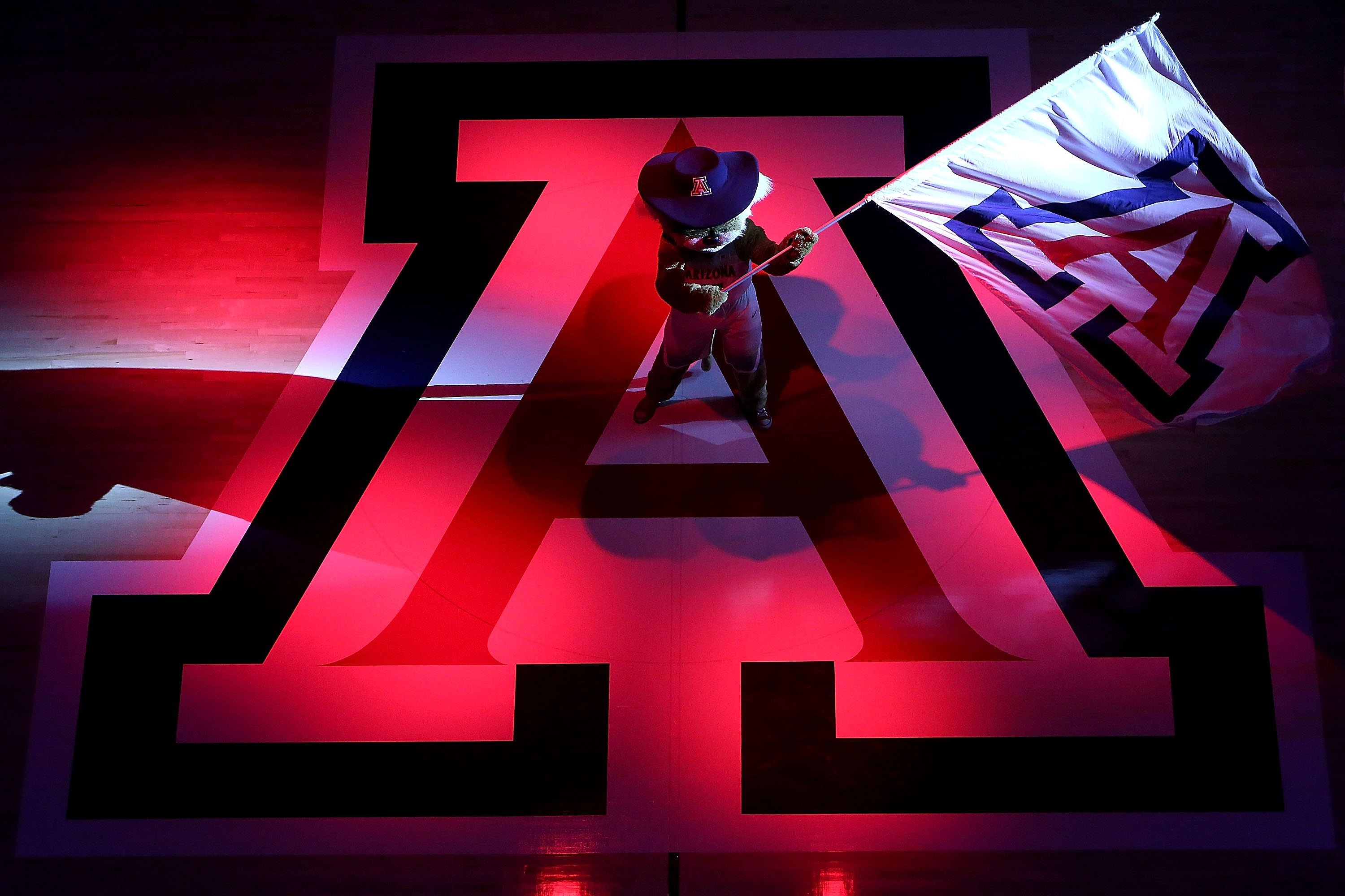 Arizona Basketball Wildcats in the Pros, who and where are they now?