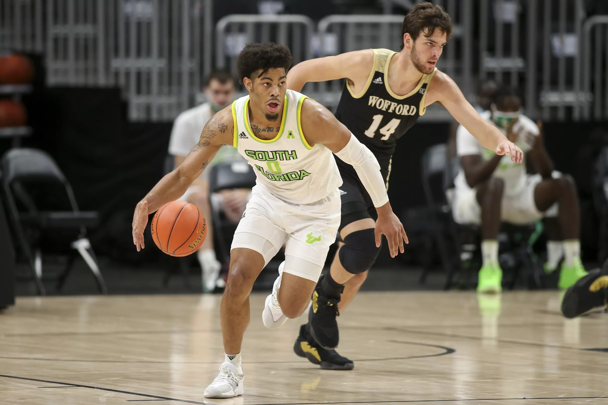 David Collins Named AAC Men’s Basketball Player of the Week; USF