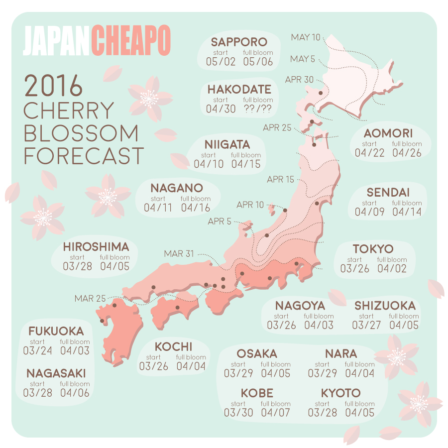 Sakura Calendar 2024 Cherry Blossom Kyoto 2019 Forecast