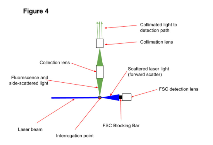 How Flow Cytometry Optical System Components Work Cheeky Scientist