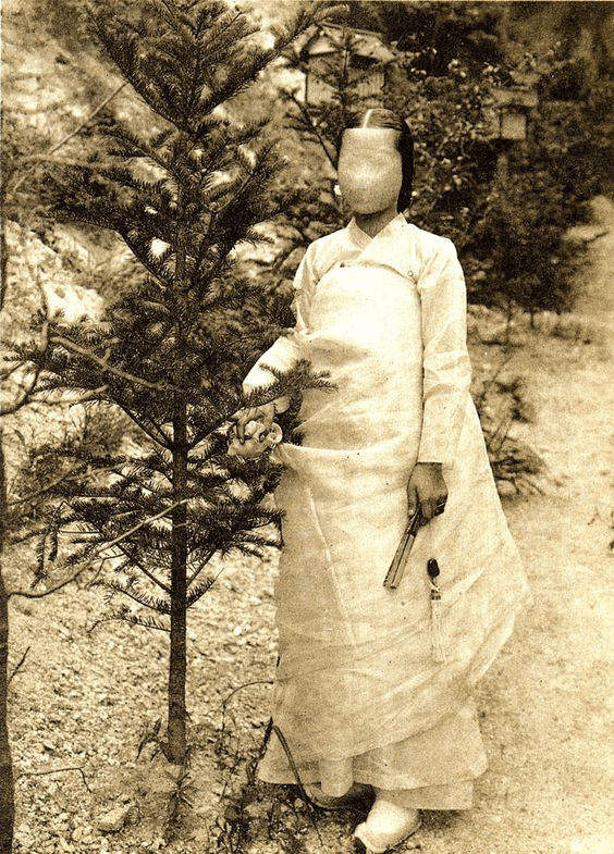 Korean Ghosts Korean Folklore Characters The Joseung Saja/grim