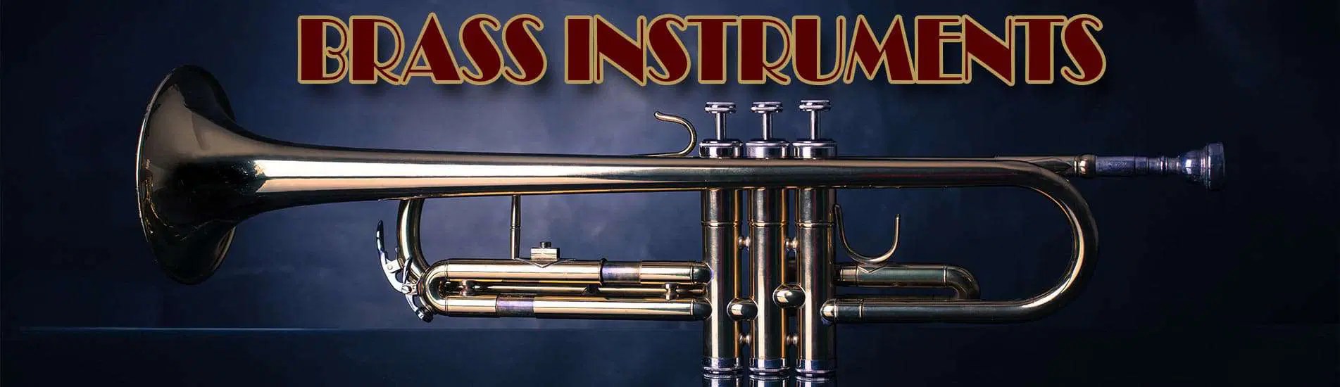 Brass Instruments in Batavia, St. Charles and Geneva