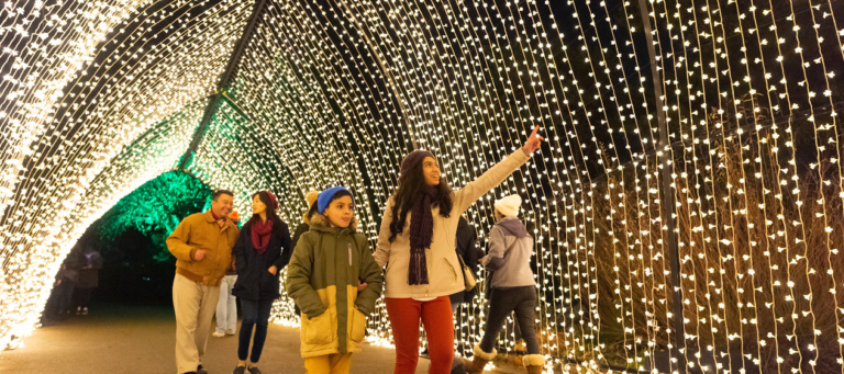festival of lights chicago 2023 Best Spots for Christmas Lights in Chicago Holiday Displays & Events