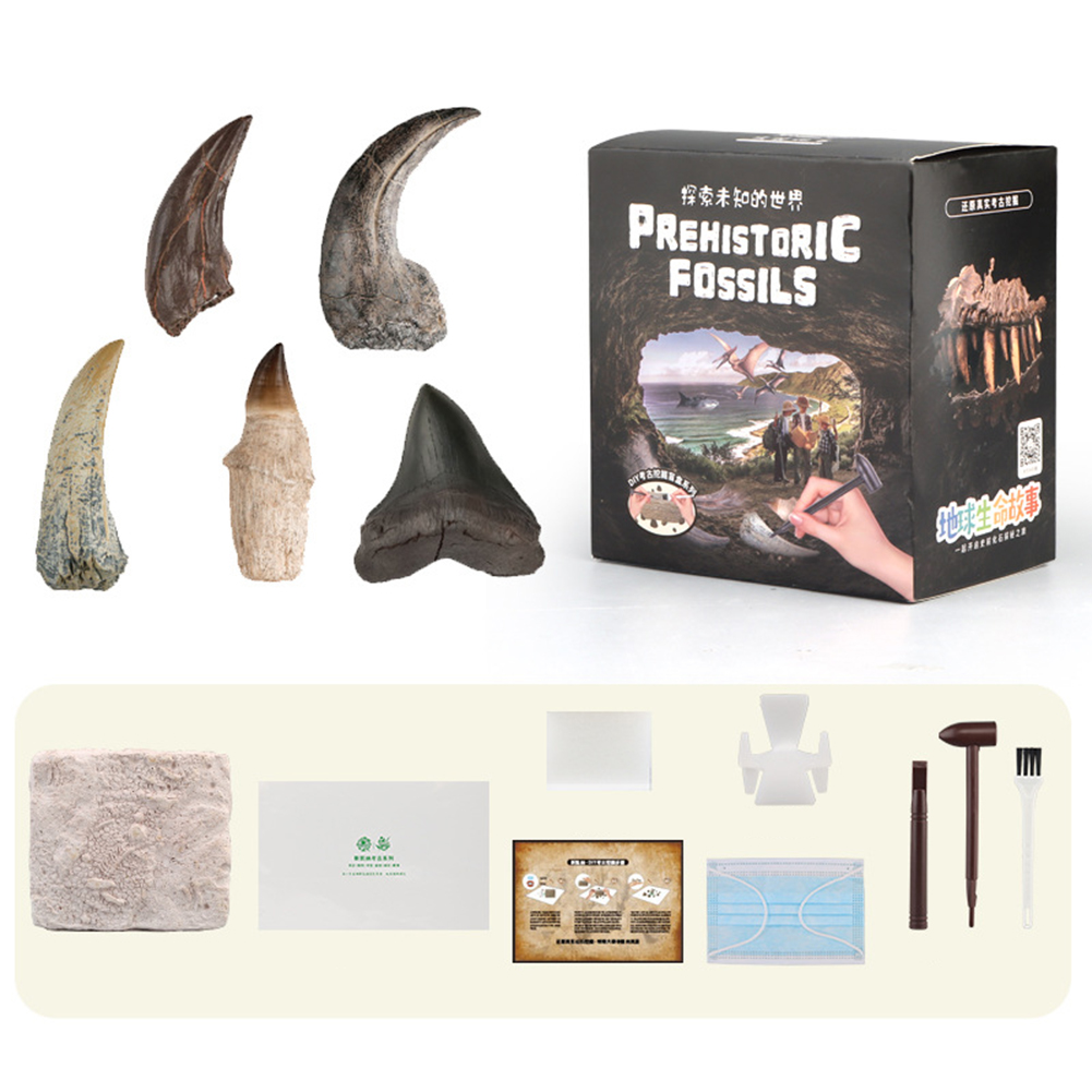 Wholesale Children Digging Toys Dinosaur Fossil Dinosaur Egg Sanxingdui