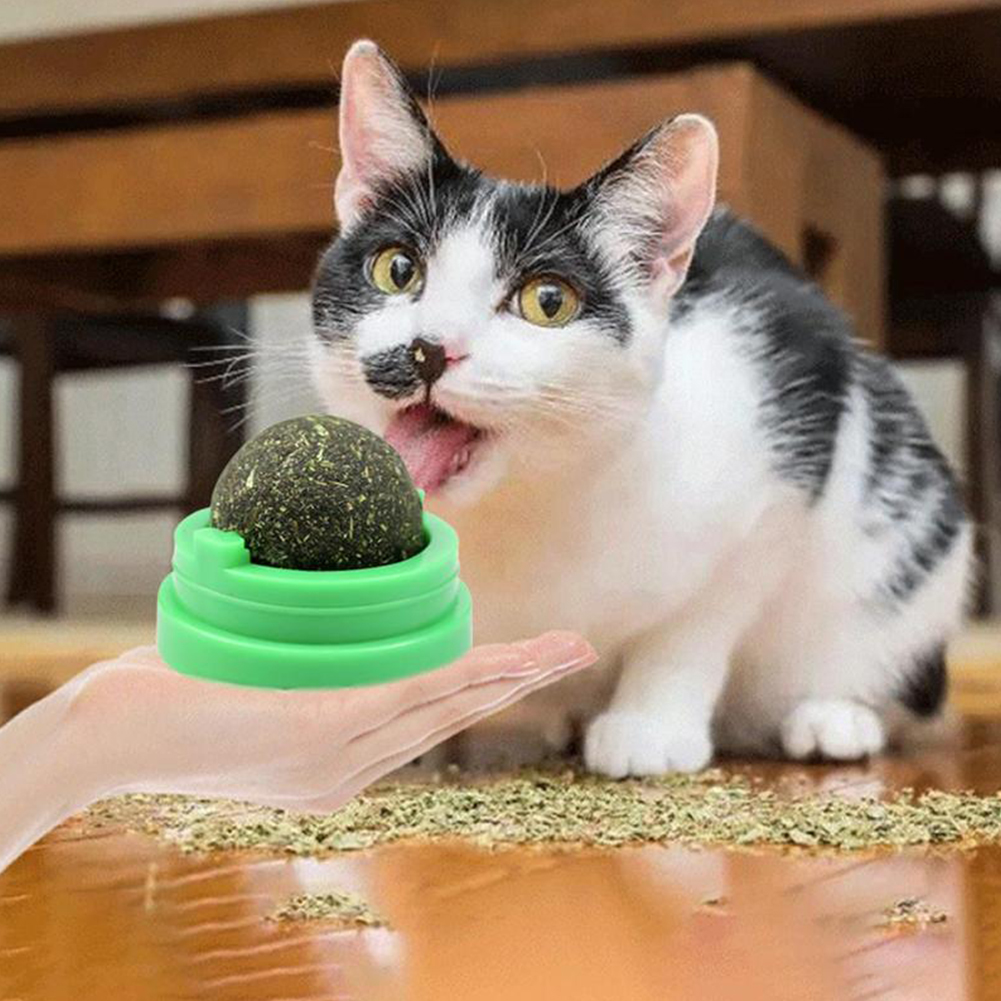 Rotating Catnip Mint Ball Cat Natural Snacks Licking Sugar Teeth