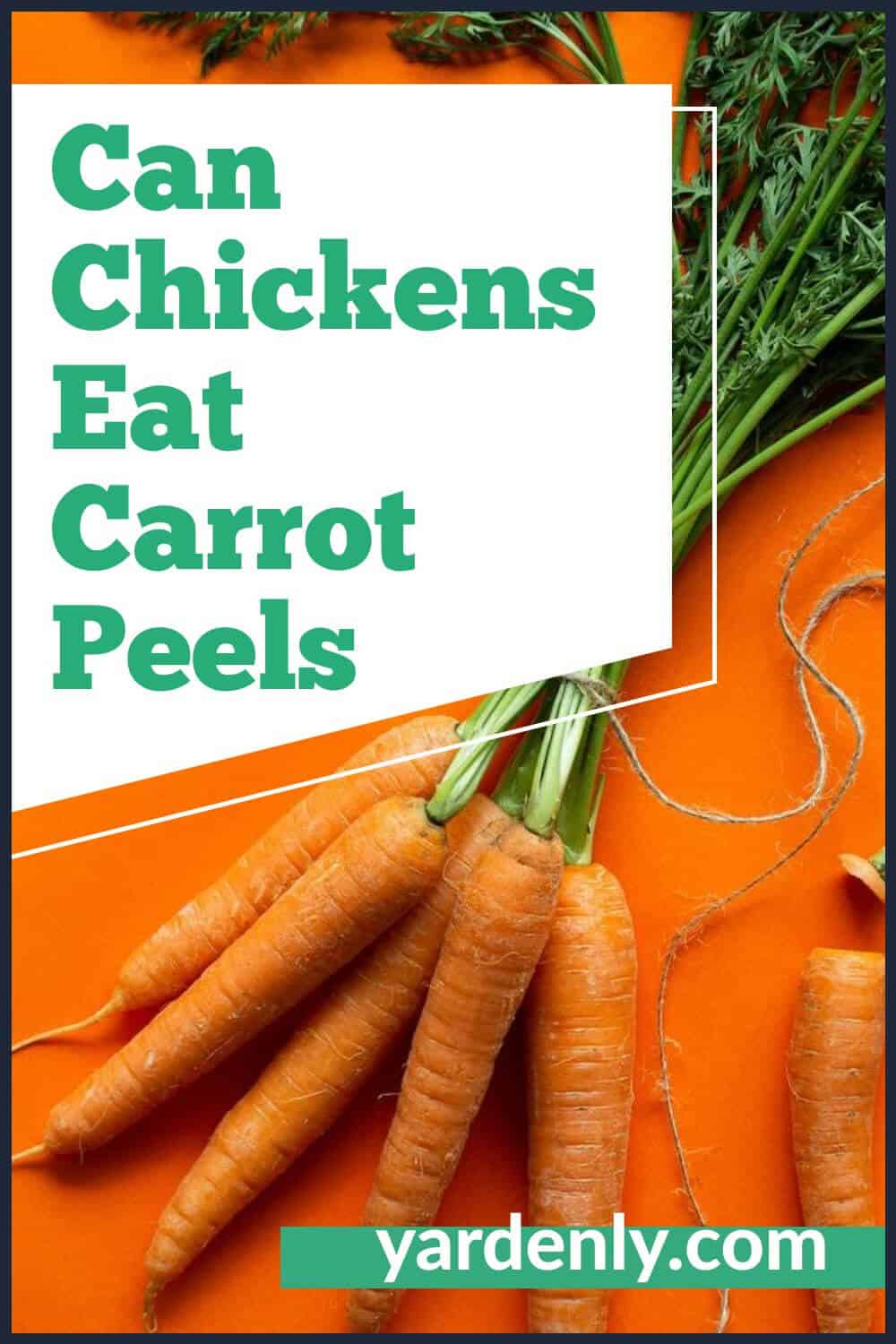 Can Chickens Eat Carrot Peelings?