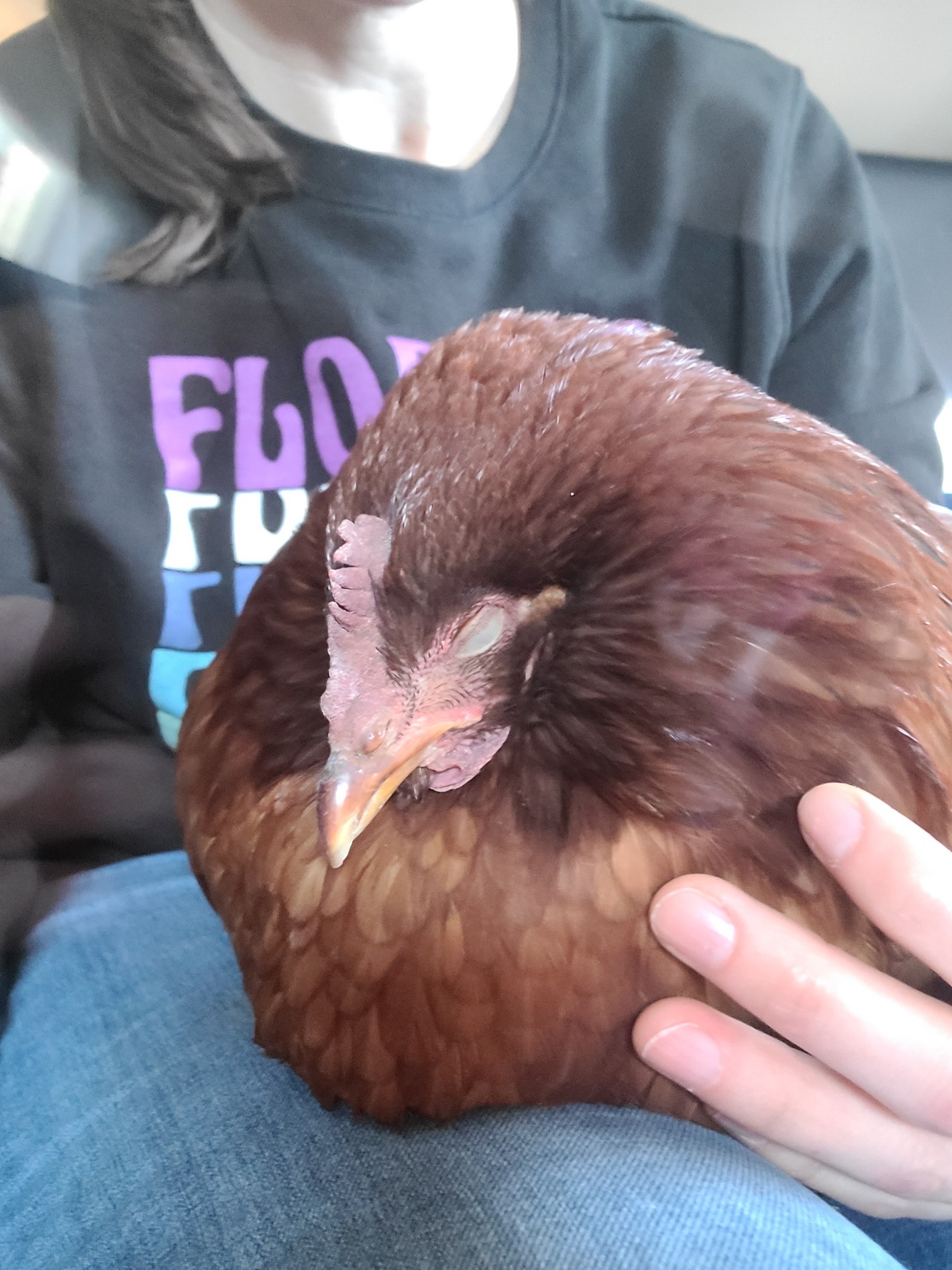 Unveiling The Mystery Of The Yellow Goo Exploring The Role Of