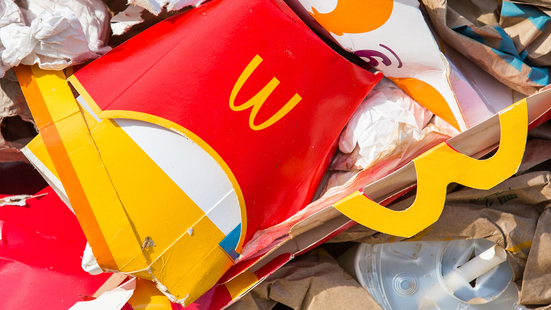 Unveiling the Absence Why McDonald's Lacks Recycling Bins Climate Of